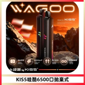 KIS5WAGOO哇酷6500口拋棄式 | 自由混搭雙口味 | 雙芯組合