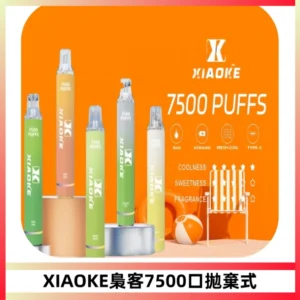 XIAOKE梟客7500Puffs跑馬燈拋棄式電子煙 可發光一次性